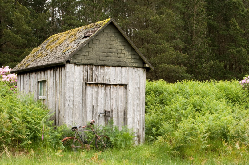 Shed Demolition