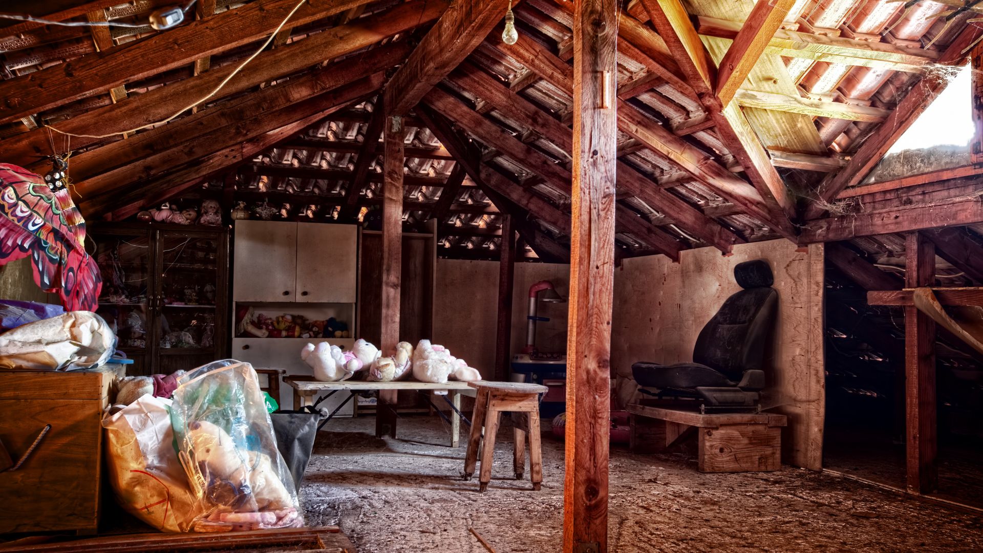 Attic Cleanouts