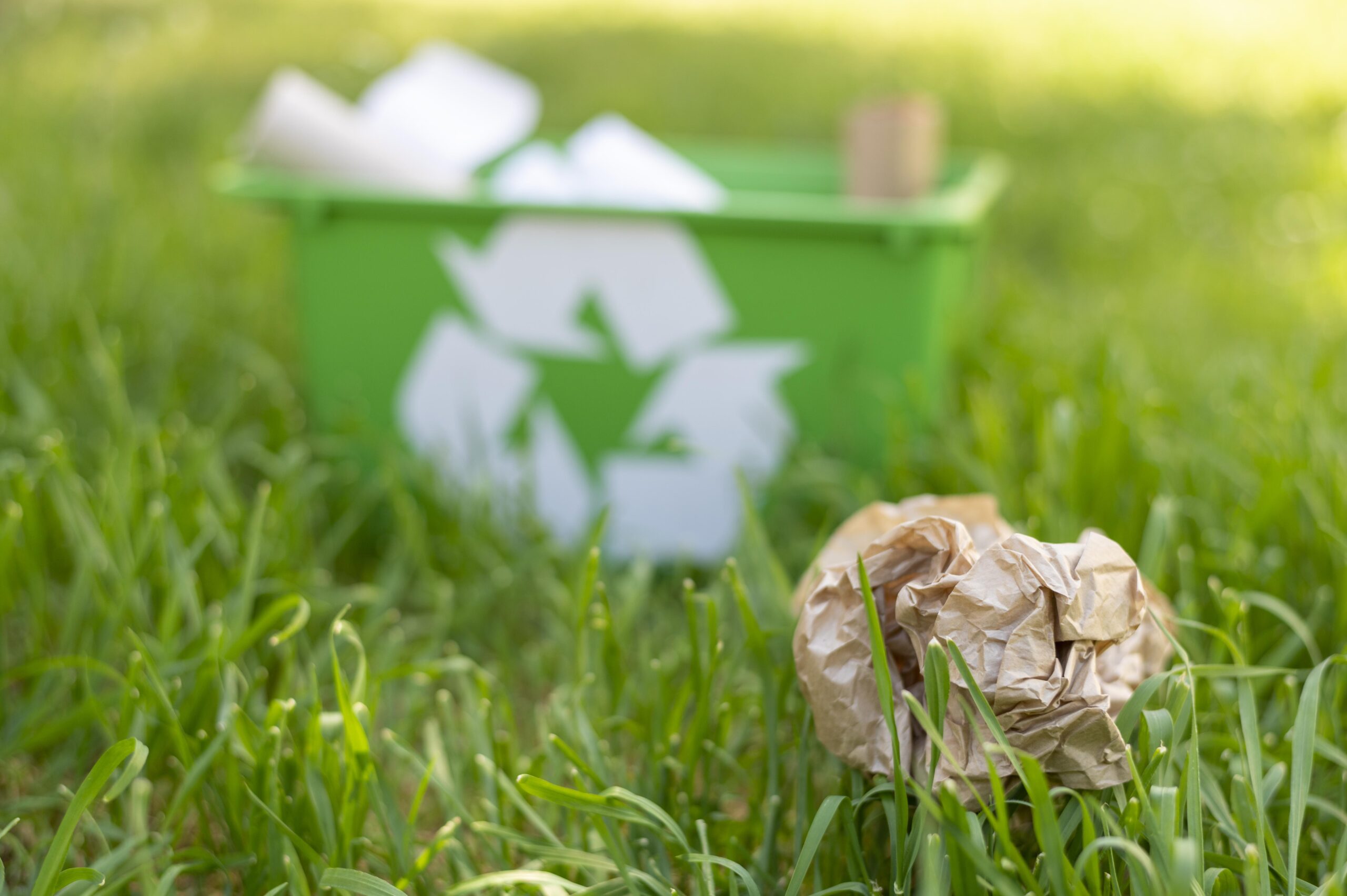  Eco-Friendly Junk Disposal 