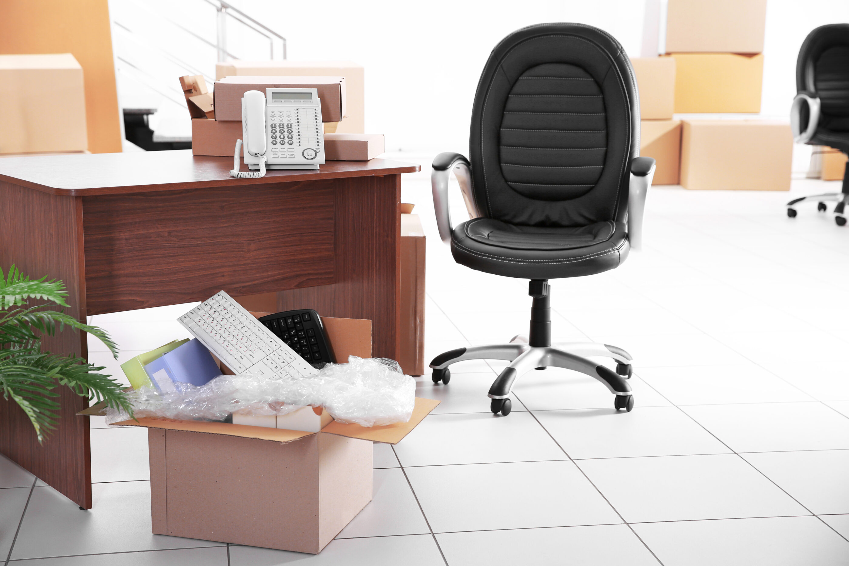 Office Junk