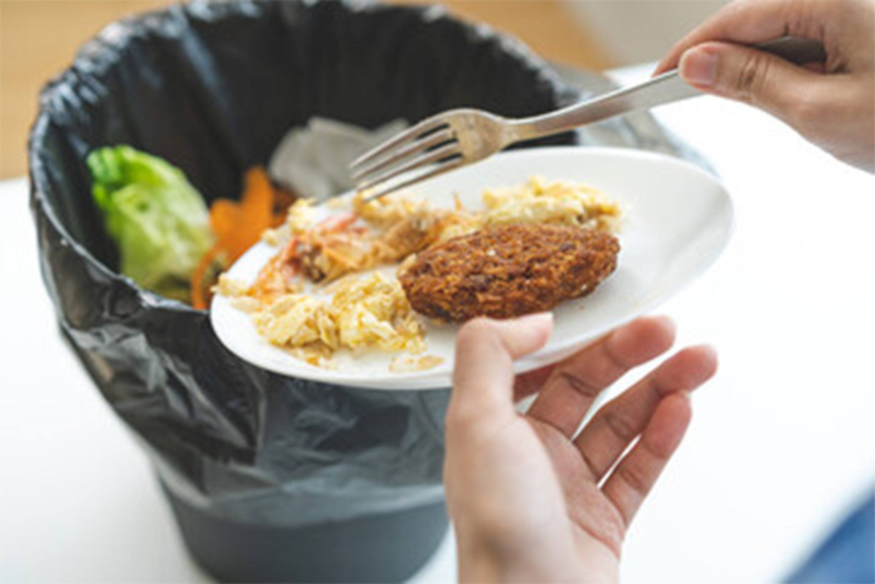 Restaurant Junk Removal