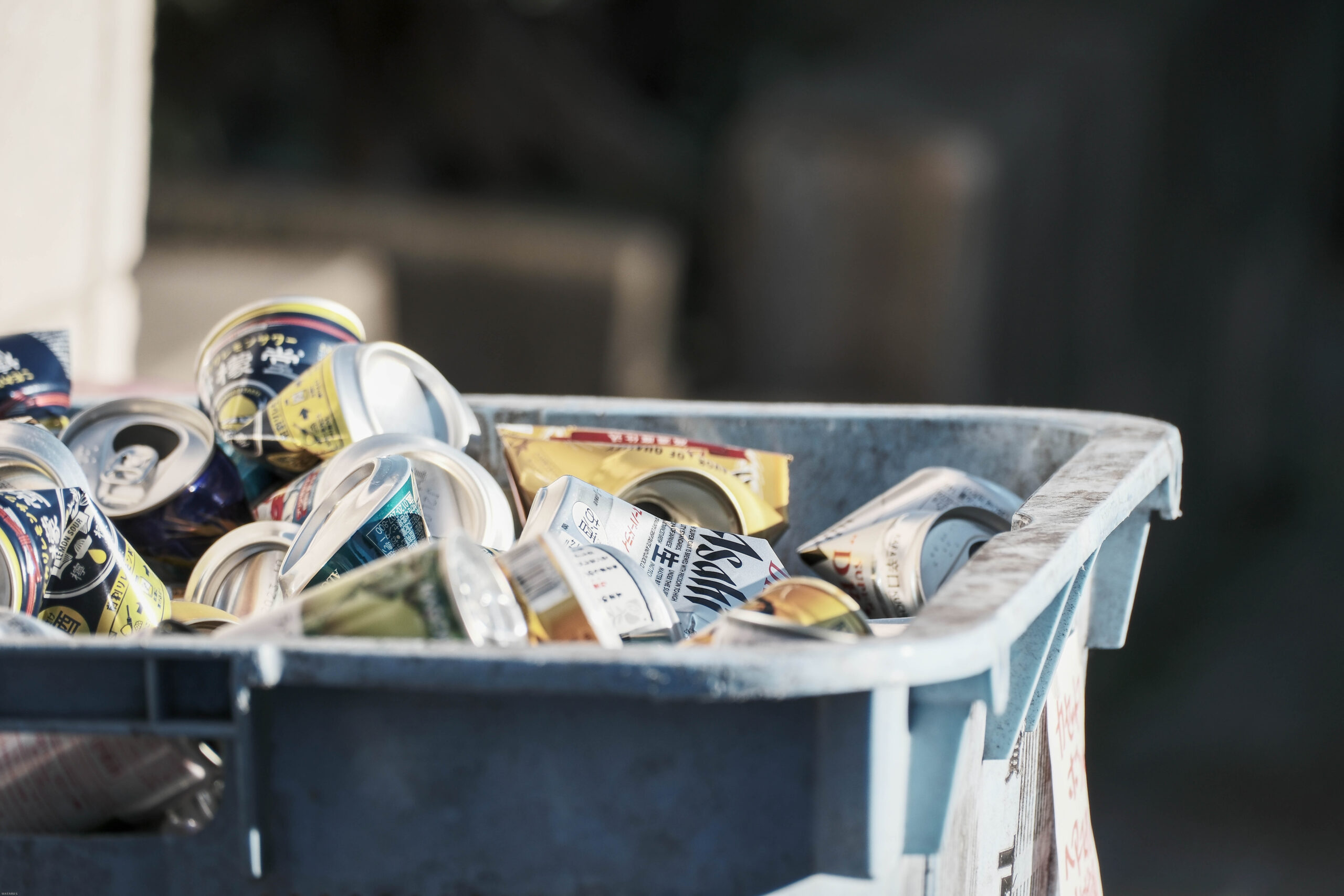 Junk Removal