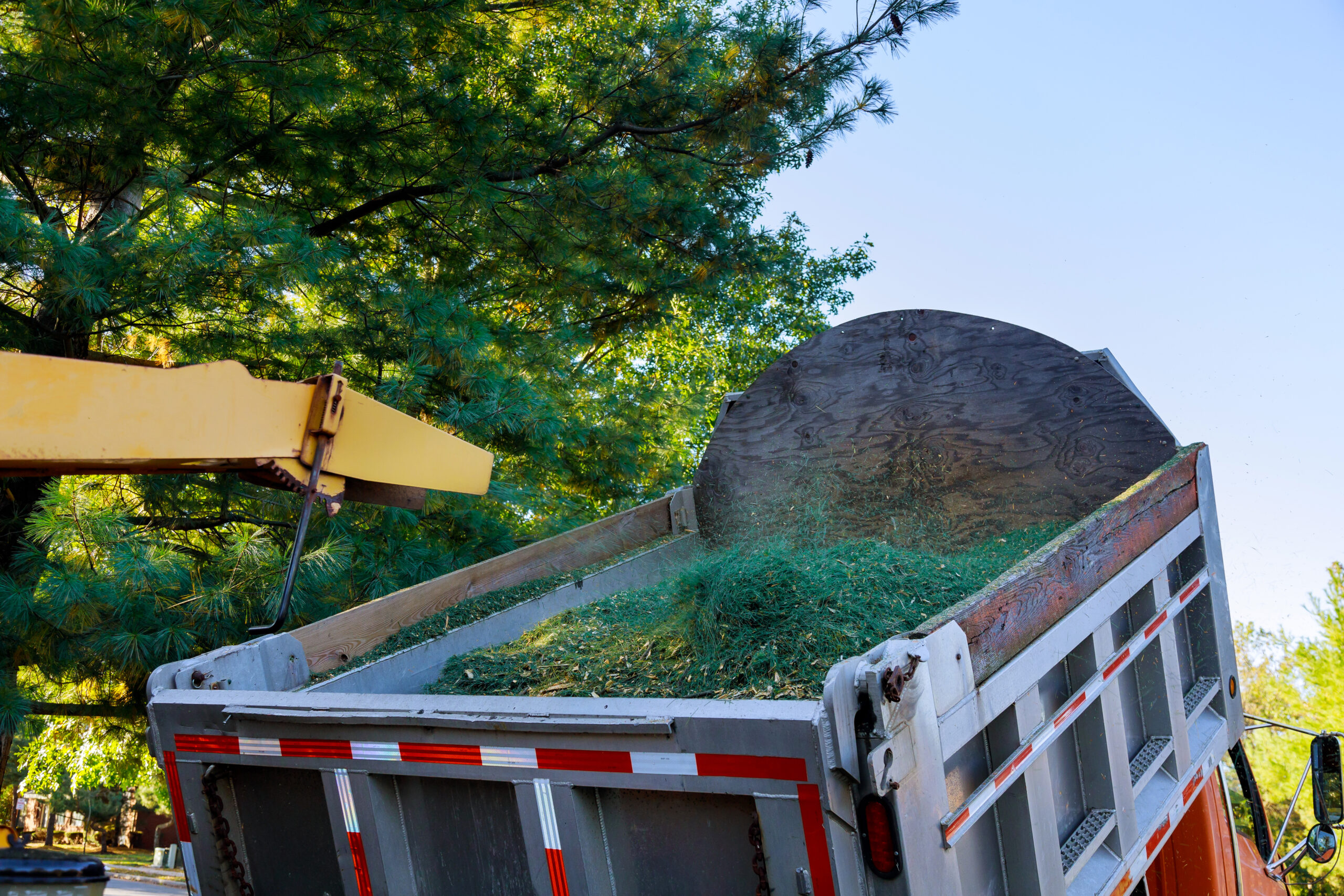 Junk Removal 