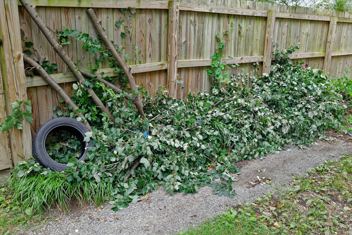  Remove Yard Waste 