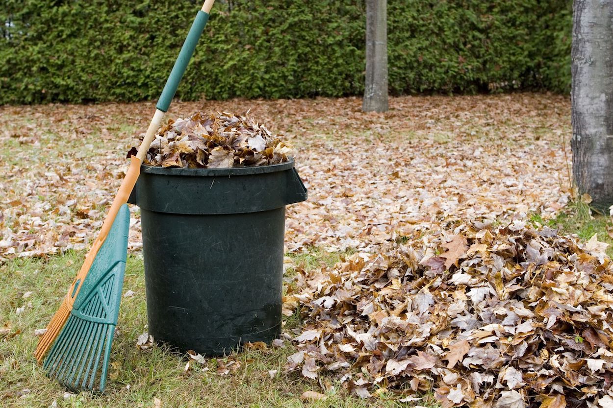  Yard Waste 