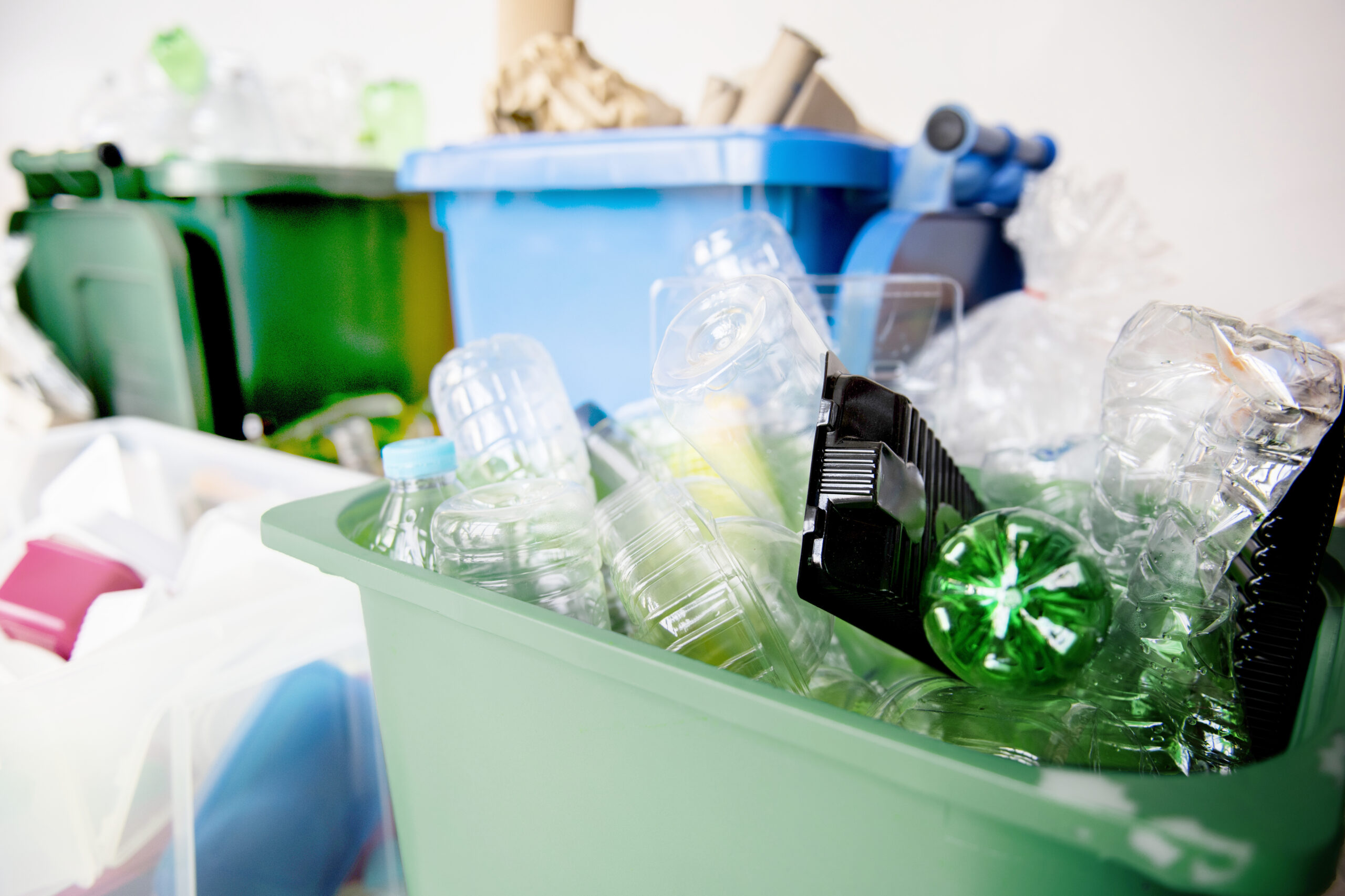 Junk Removal Services 